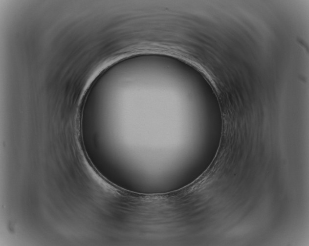 X0000091911531200709051201