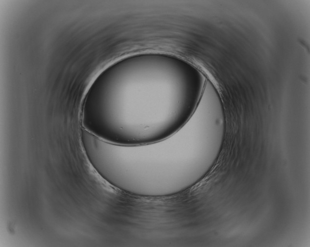 X0000091911532200709051201