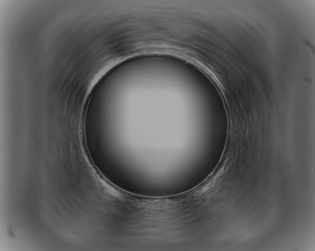 X0000091911533200709051201