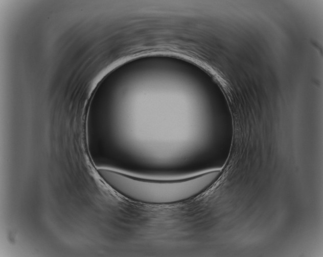 X0000091911534200709051201