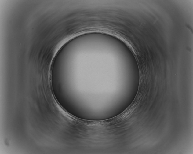 X0000091911535200709051201