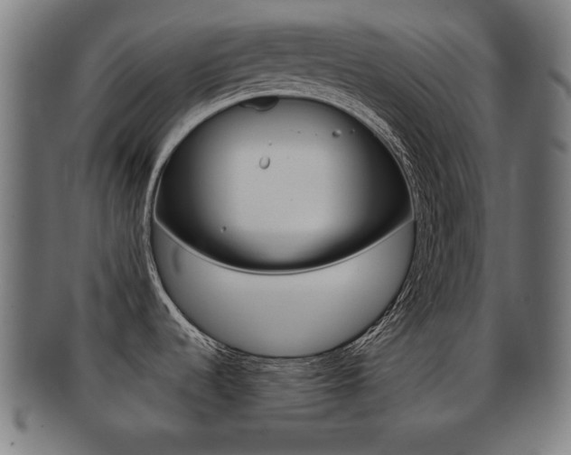 X0000091911536200709051201