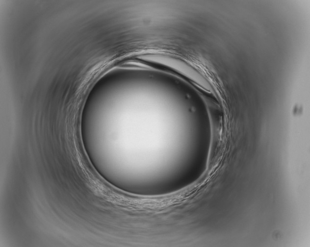 X0000091910001200709051428