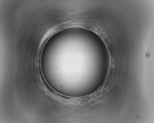 X0000091910004200709051428