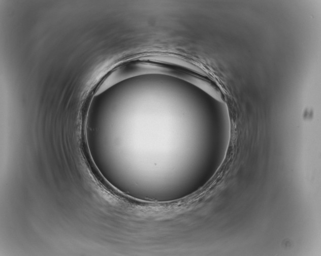 X0000091910005200709051428