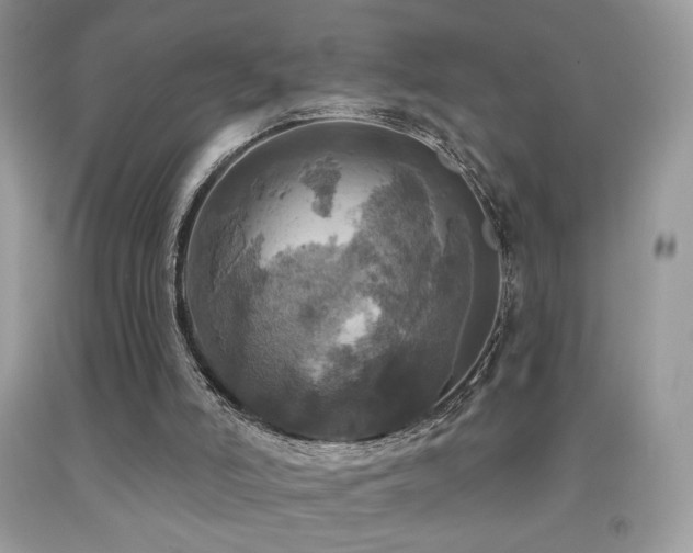 X0000091910006200709051428