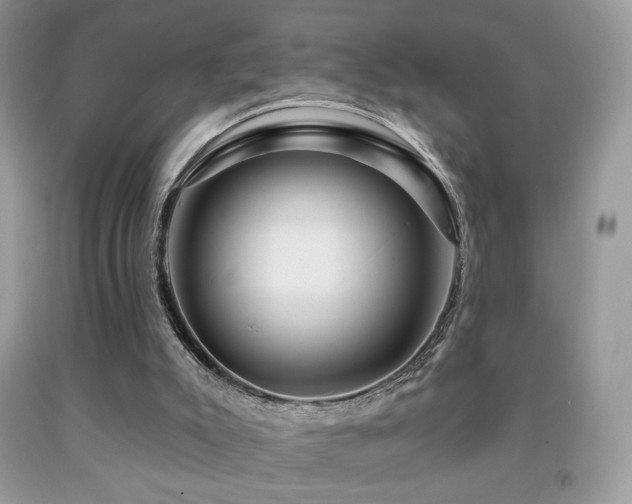 X0000091910007200709051428