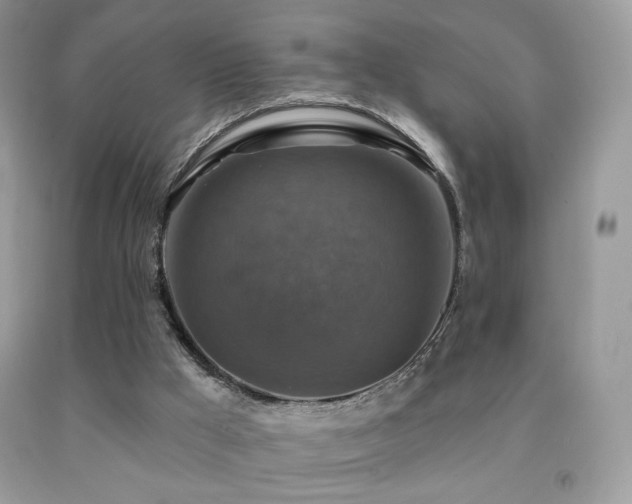X0000091910009200709051428