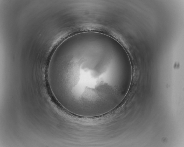 X0000091910010200709051428