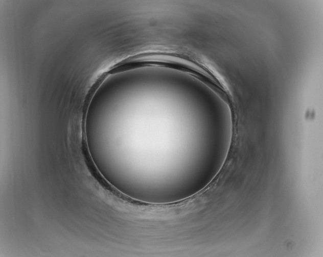 X0000091910011200709051428