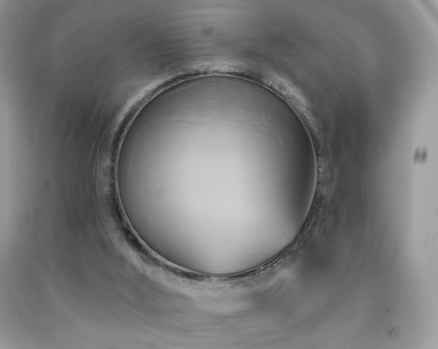X0000091910012200709051428