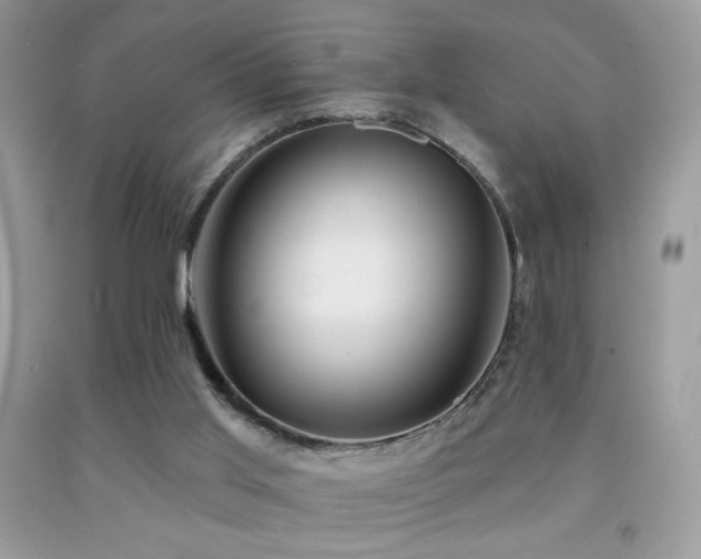 X0000091910013200709051428