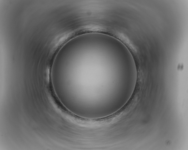 X0000091910014200709051428