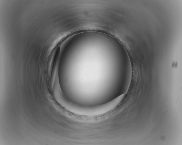 X0000091910015200709051428