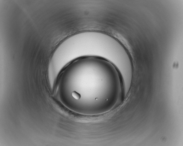 X0000091910017200709051428