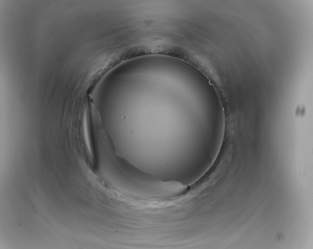 X0000091910018200709051428