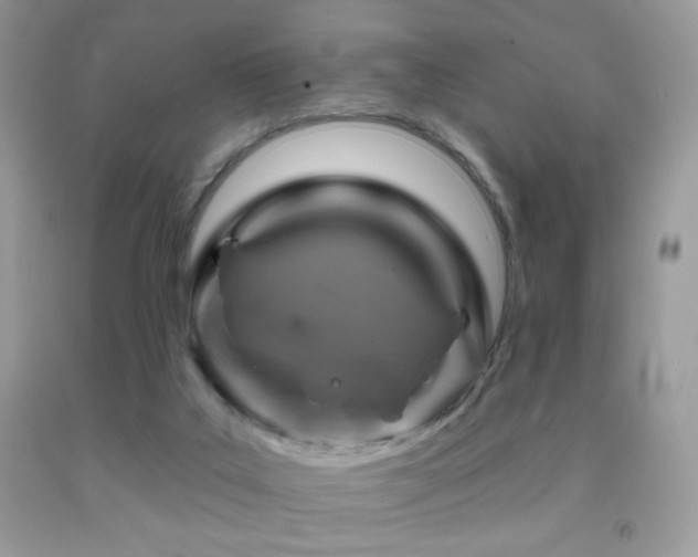 X0000091910019200709051428