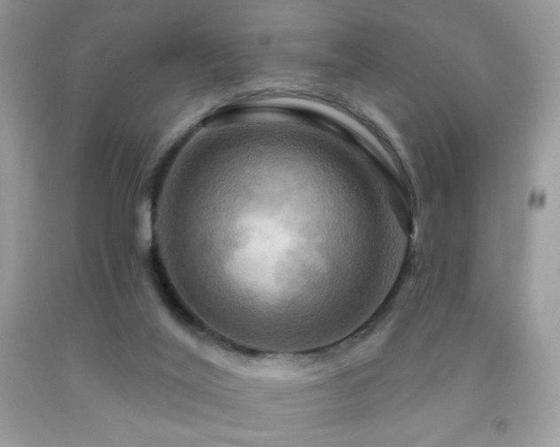 X0000091910020200709051428