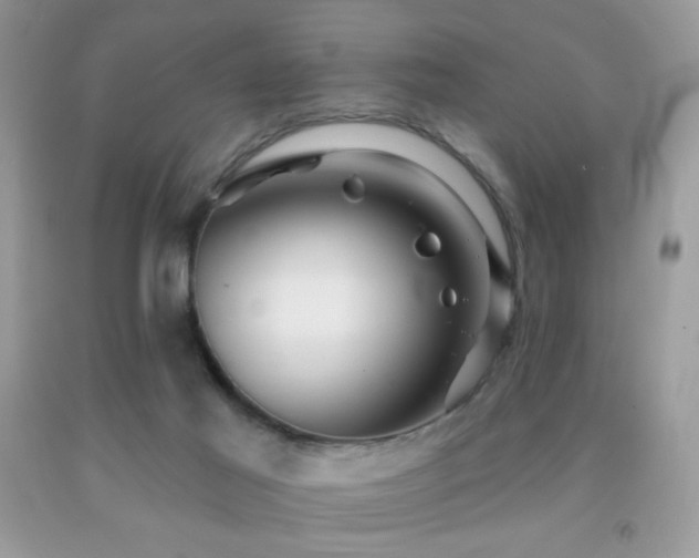 X0000091910021200709051428