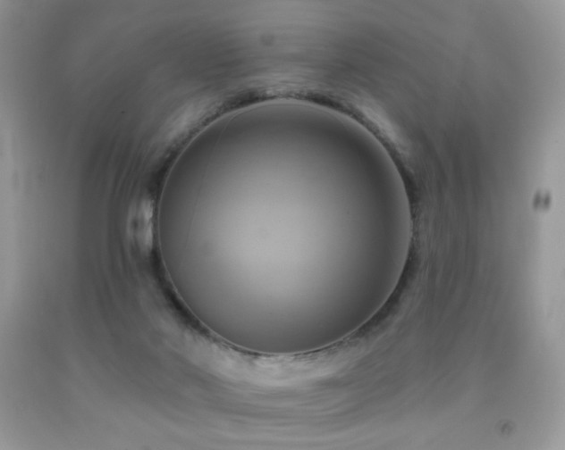 X0000091910022200709051428