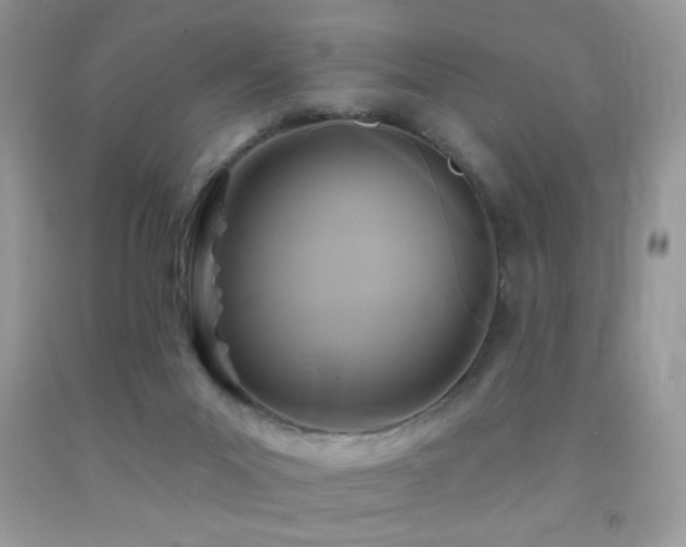 X0000091910023200709051428