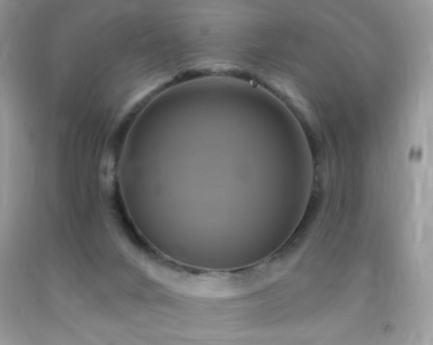 X0000091910024200709051428