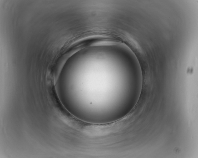 X0000091910025200709051428