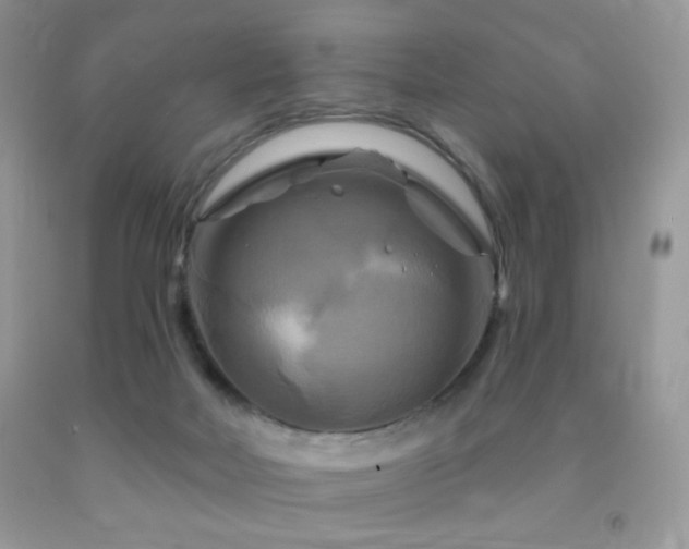 X0000091910026200709051428