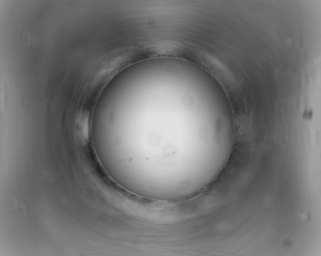 X0000091910028200709051428