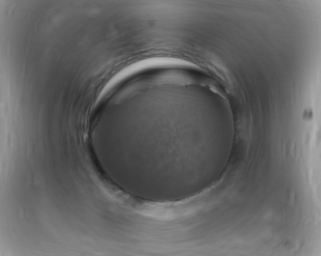 X0000091910029200709051428