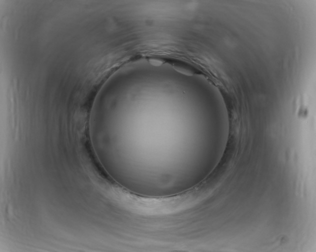 X0000091910030200709051428