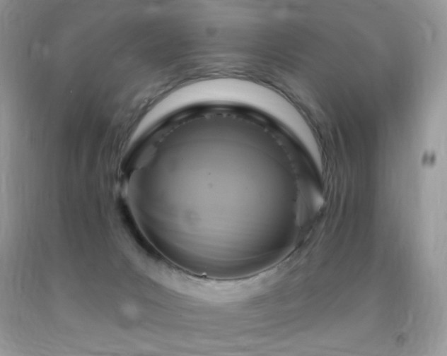 X0000091910031200709051428