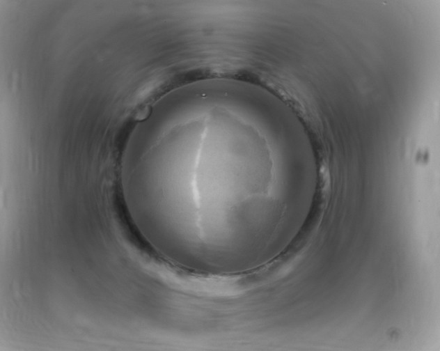 X0000091910032200709051428