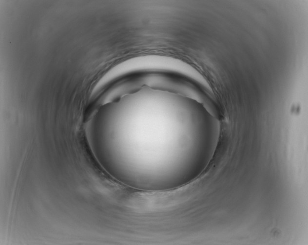X0000091910033200709051428