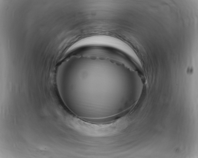 X0000091910035200709051428