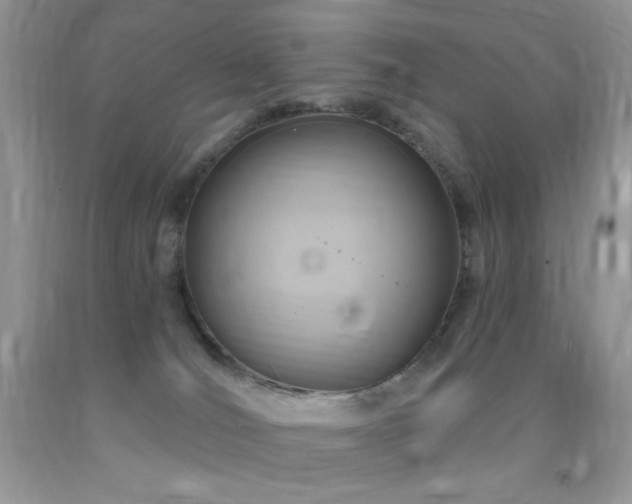 X0000091910036200709051428