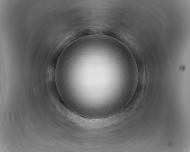 X0000091910038200709051428