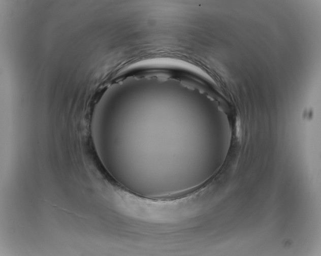 X0000091910039200709051428