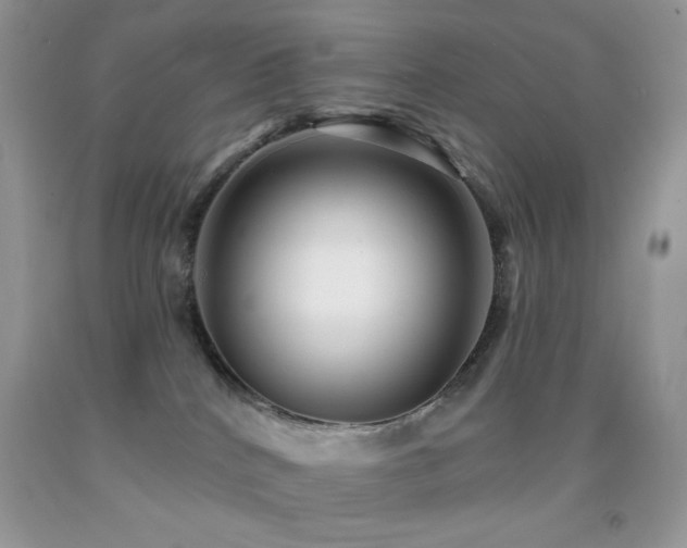 X0000091910040200709051428