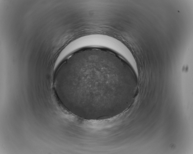 X0000091910041200709051428
