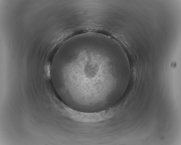 X0000091910042200709051428