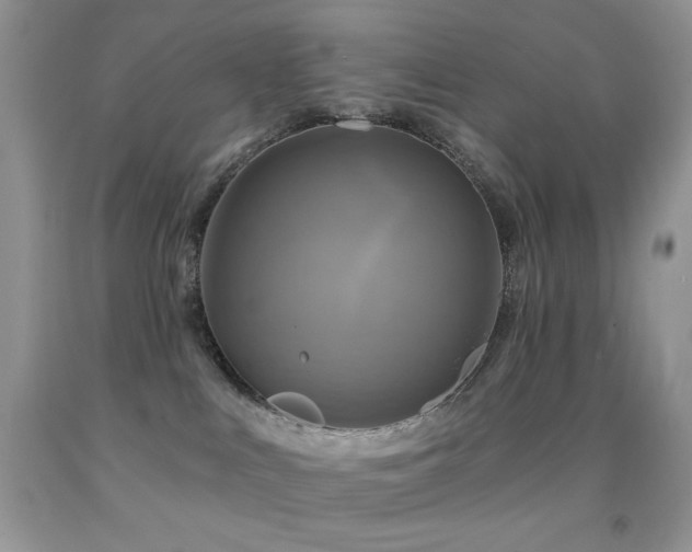X0000091910043200709051428