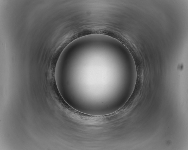 X0000091910044200709051428