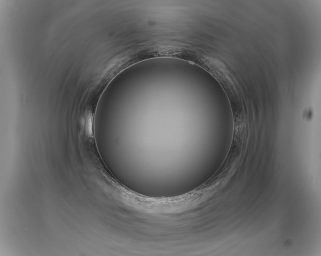X0000091910046200709051428