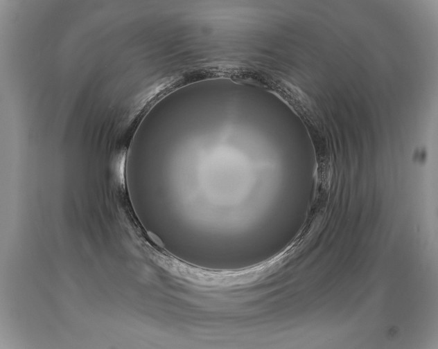 X0000091910047200709051428