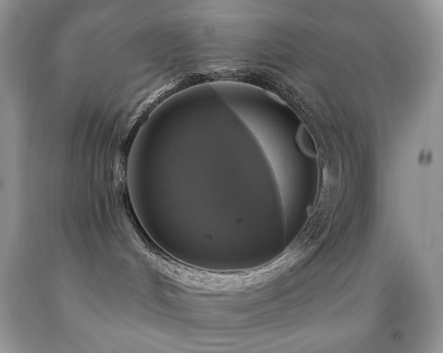 X0000091910048200709051428