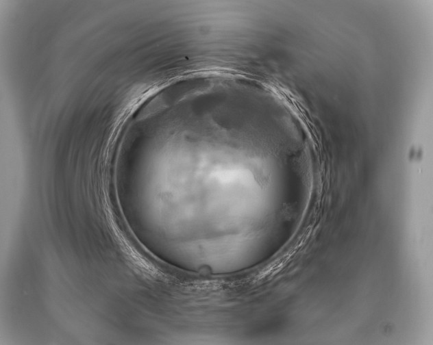 X0000091910049200709051427