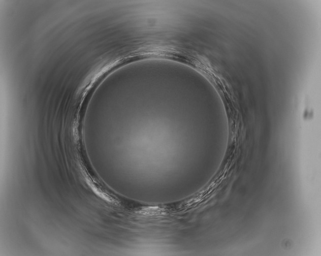 X0000091910050200709051427