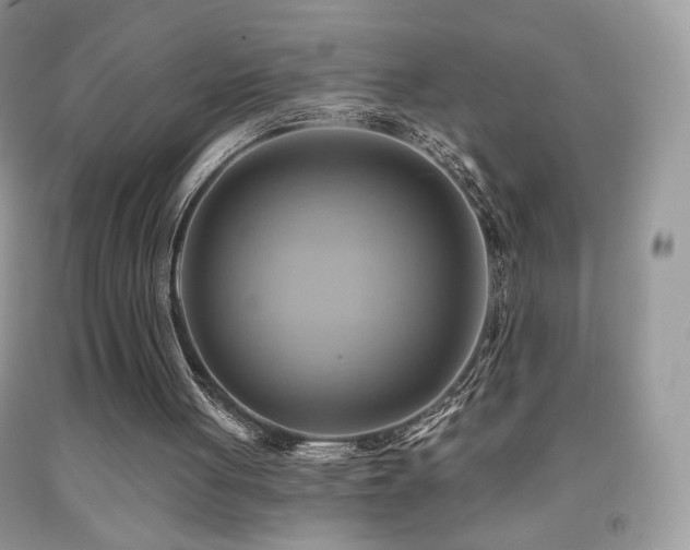 X0000091910051200709051427