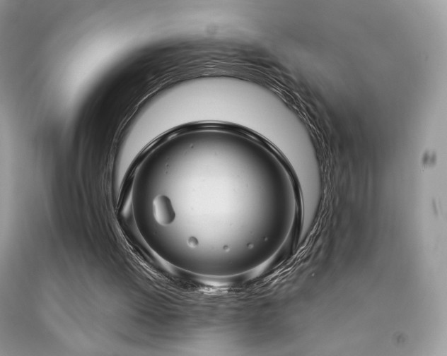 X0000091910052200709051427